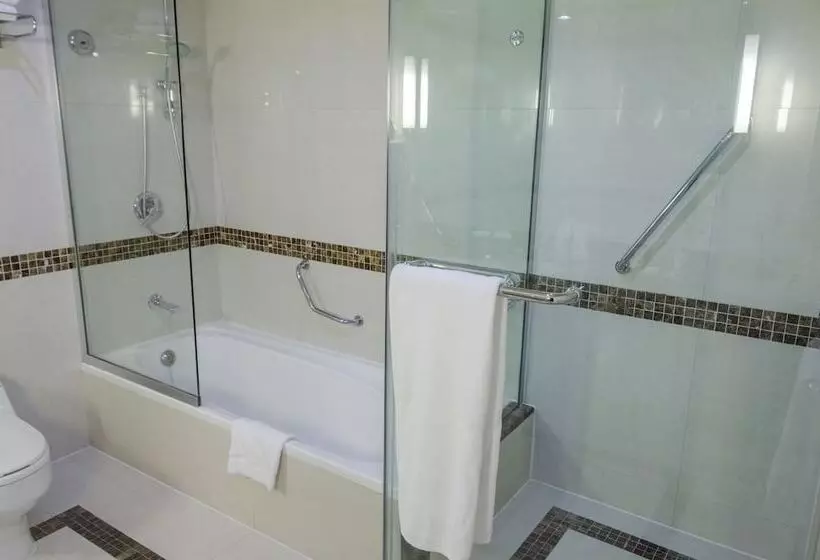 Fotos del hotel Avenue Hotel Dubai:  5