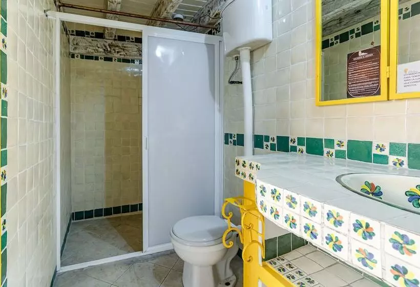 Fotos del hotel Meson De San Sebastian:  7