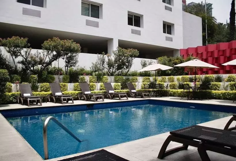 Fotos del hotel Comfort Inn Monterrey Valle:  7