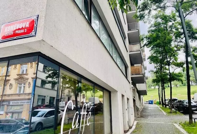 Fotos del hotel Ehrlich:  4