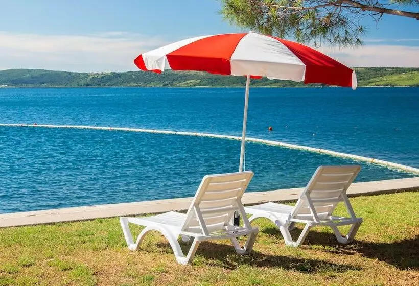 Fotos del hotel Vile Park:  11