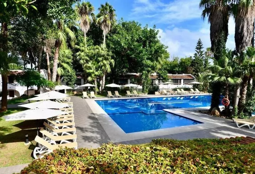 Fotos del hotel Kabila:  20