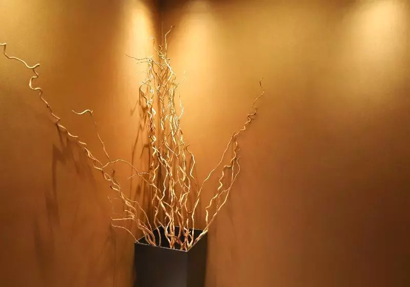 Fotos del hotel Latinum:  10