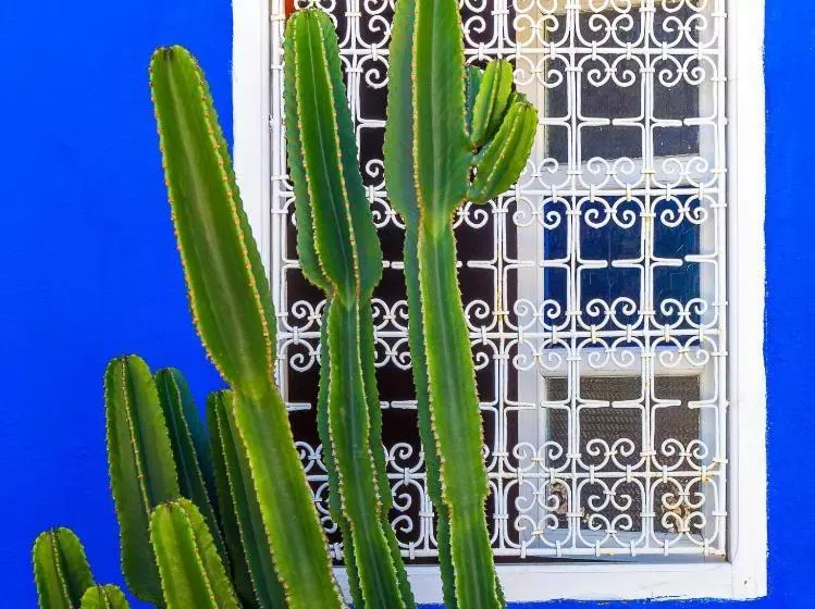 Fotos del hotel Le Bled Ferme:  20