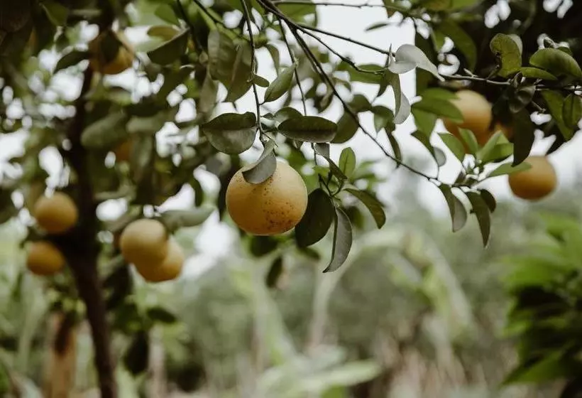 Fotos del hotel Le Bled Ferme:  5