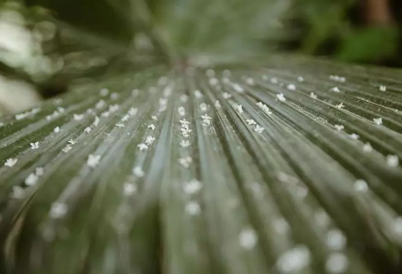 Fotos del hotel Le Bled Ferme:  14