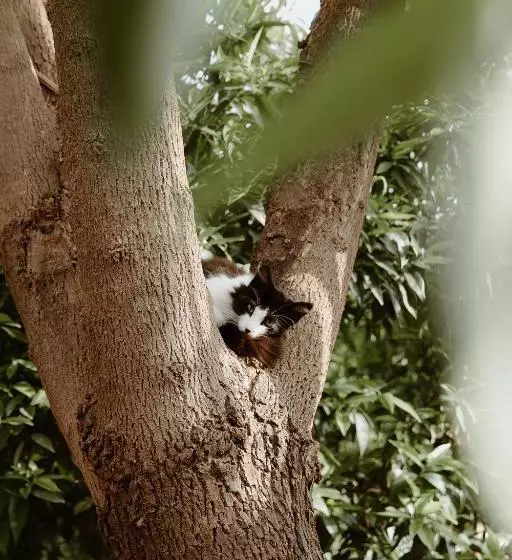 Fotos del hotel Le Bled Ferme:  17