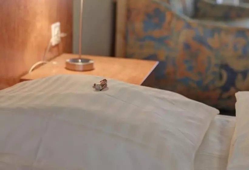 Fotos del hotel Am Kurfürstenplatz - Messe:  24