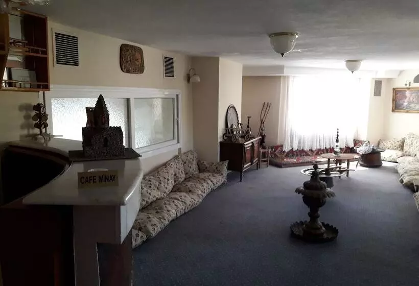 Fotos del hotel Minay:  17