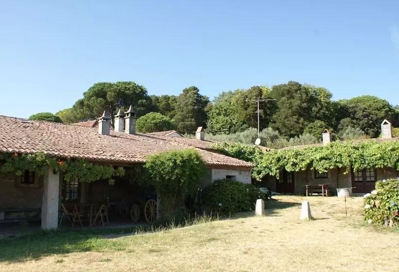 Fotos del hotel Quinta Do Paço D'Anha:  21