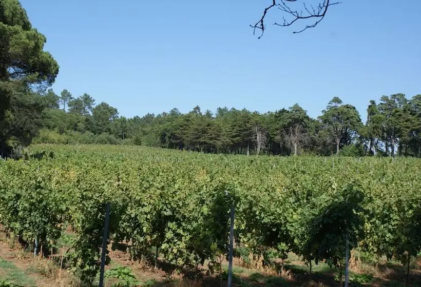 Fotos del hotel Quinta Do Paço D'Anha:  14