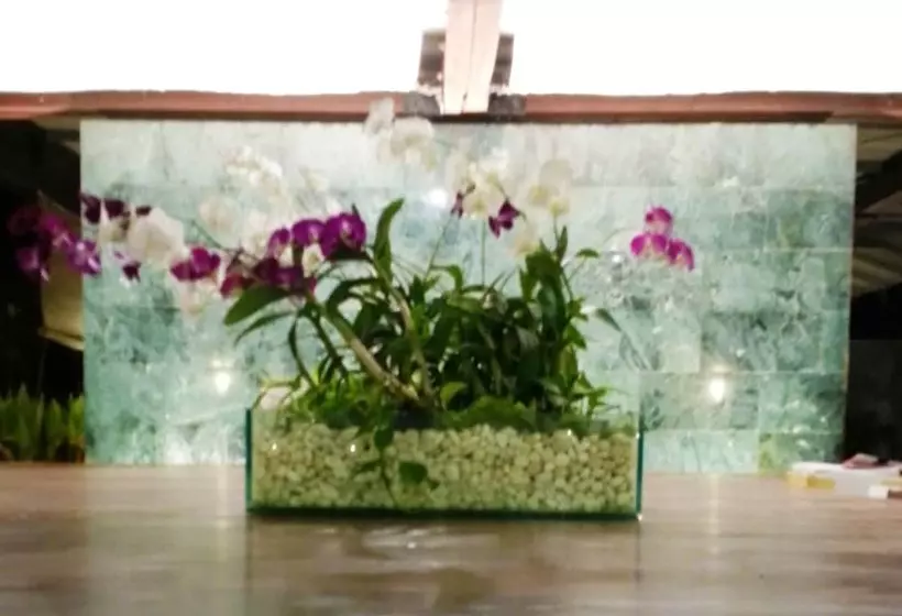 Fotos del hotel Costa Lanta  Adult Only:  3