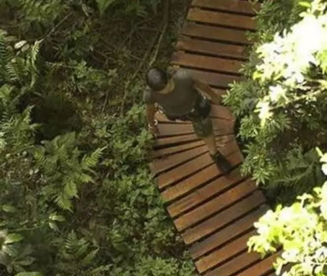 Fotos del hotel La Aldea De La Selva Lodge:  13