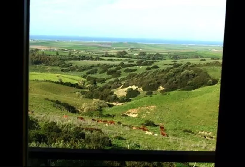 Fotos del hotel Ritual El Palmaradults Only:  5