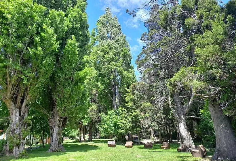 Fotos del hotel Rochester Bariloche Suites & Spa:  7