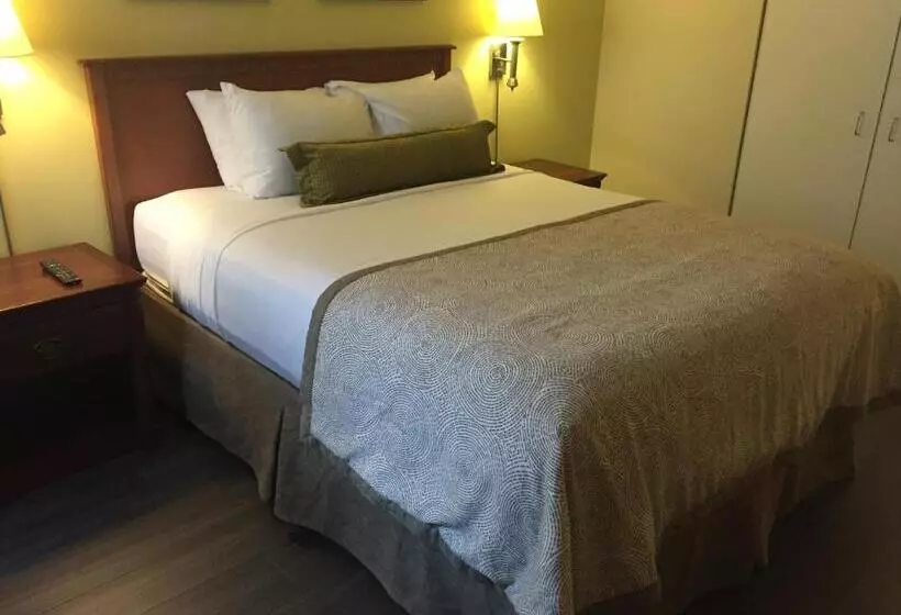 Fotos del hotel Candlewood Suites Montreal Downtown Centre Ville, An Ihg:  14