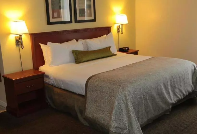 Fotos del hotel Candlewood Suites Montreal Downtown Centre Ville, An Ihg:  17