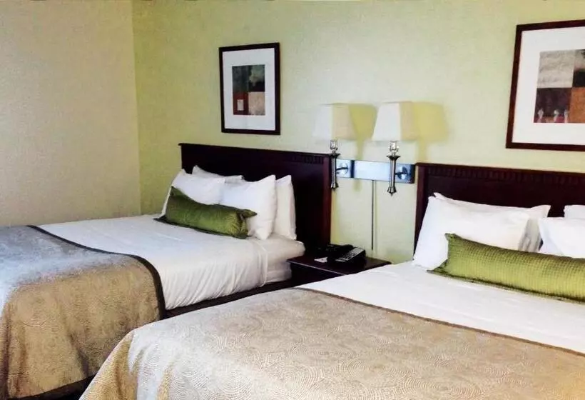 Fotos del hotel Candlewood Suites Montreal Downtown Centre Ville, An Ihg:  23