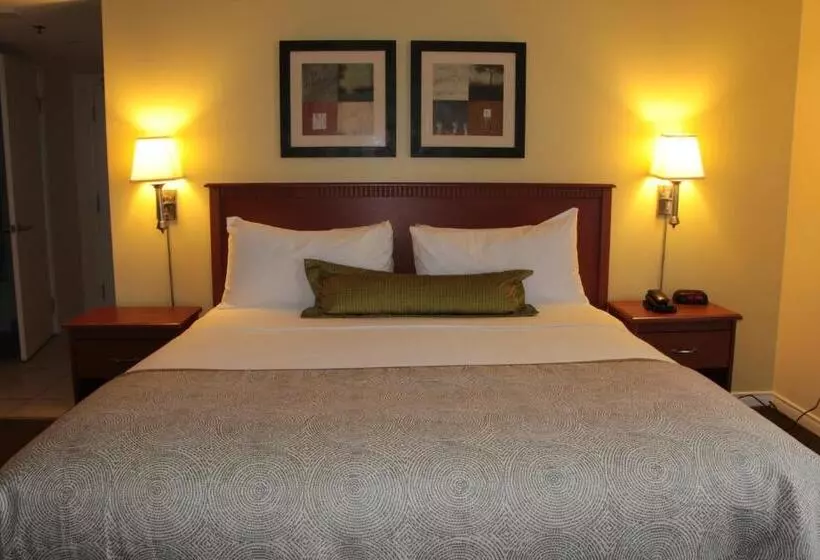 Fotos del hotel Candlewood Suites Montreal Downtown Centre Ville, An Ihg:  21