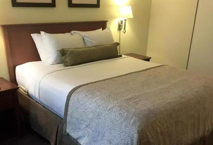 Fotos del hotel Candlewood Suites Montreal Downtown Centre Ville, An Ihg:  9