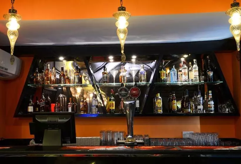 Fotos del hotel Sun And Sands Downtown:  5