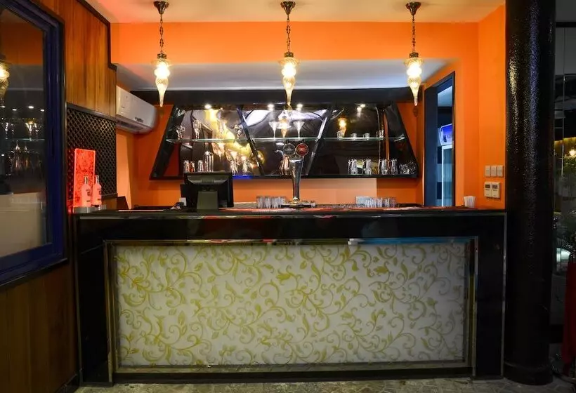 Fotos del hotel Sun And Sands Downtown:  40
