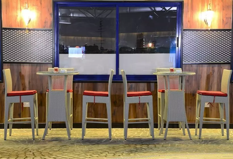 Fotos del hotel Sun And Sands Downtown:  41