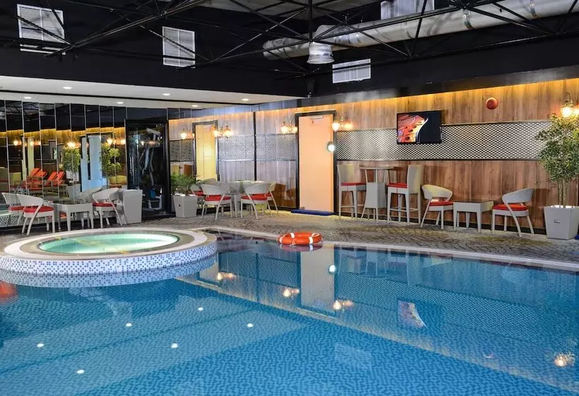 Fotos del hotel Sun And Sands Downtown:  47