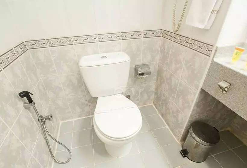Fotos del hotel Sun And Sands Downtown:  50