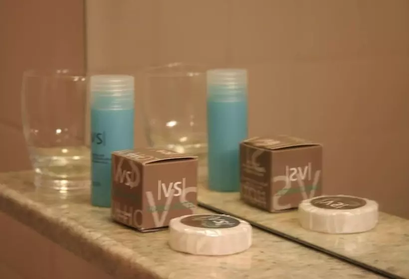 Fotos del hotel Viasui:  6