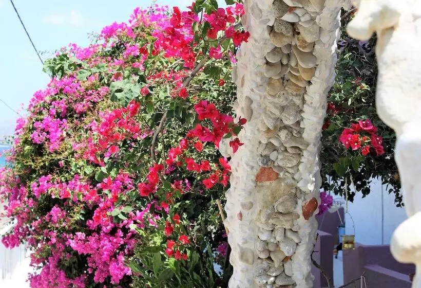 Fotos del hotel Apokoros Club Apt & Std Craft Deco & Activities:  17