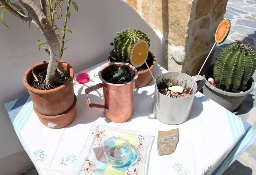 Fotos del hotel Apokoros Club Apt & Std Craft Deco & Activities:  20