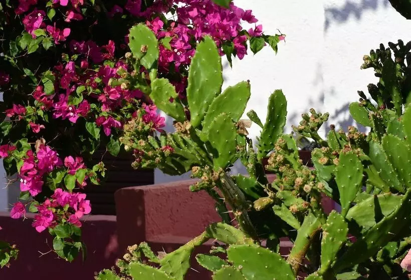 Fotos del hotel Apokoros Club Apt & Std Craft Deco & Activities:  23