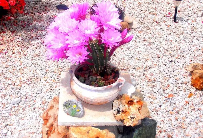 Fotos del hotel Apokoros Club Apt & Std Craft Deco & Activities:  15