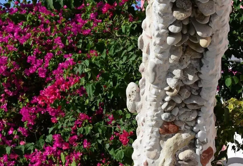 Fotos del hotel Apokoros Club Apt & Std Craft Deco & Activities:  11