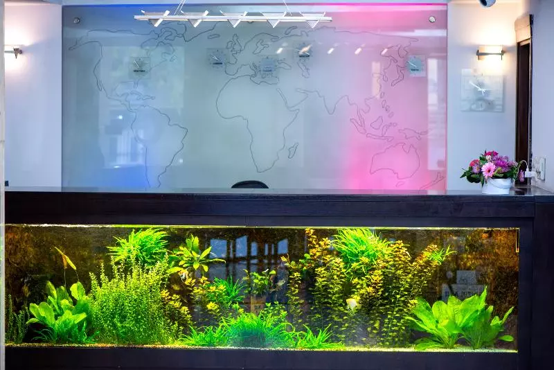 Fotos del hotel Duke Armeneasca  Ex Tempo:  5