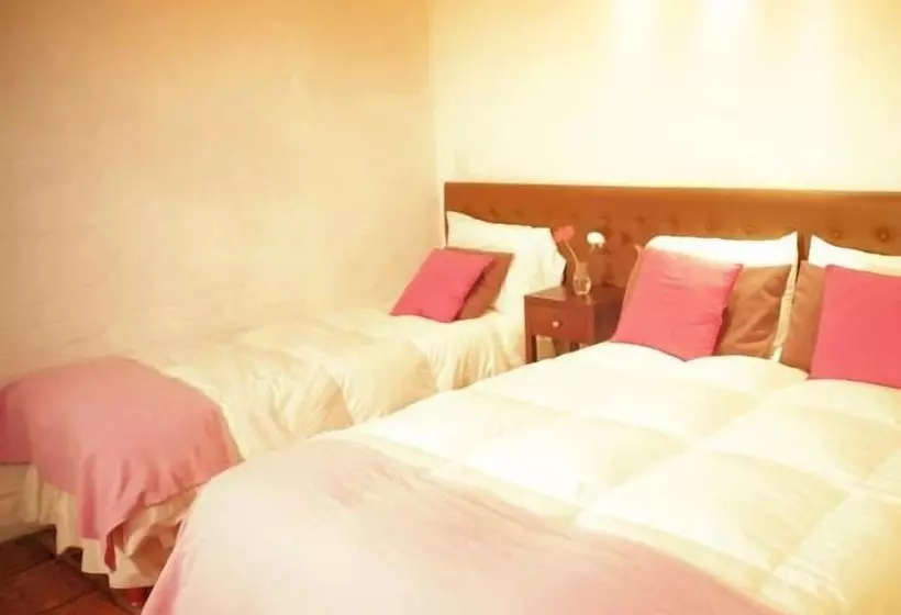 Fotos del hotel La Mision:  15