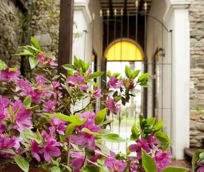 Fotos del hotel La Mision:  5