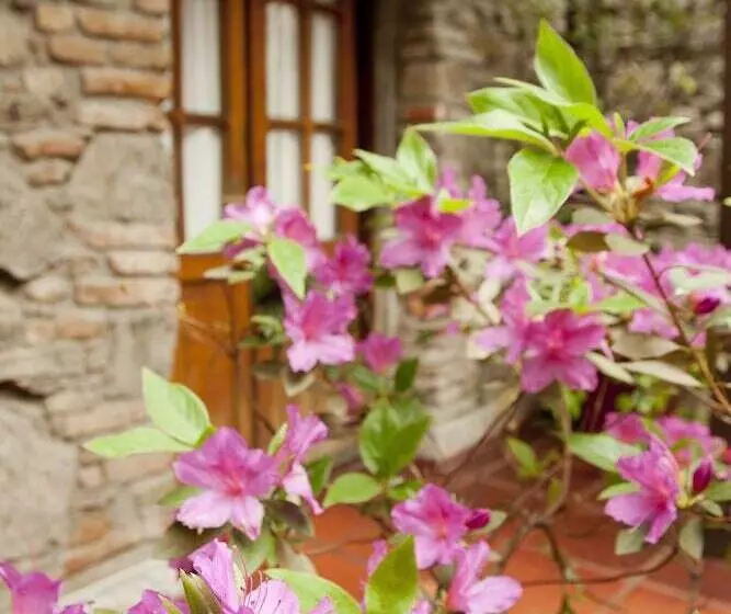 Fotos del hotel La Mision:  3