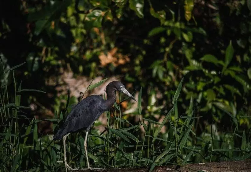 Fotos del hotel Mawamba Lodge:  6