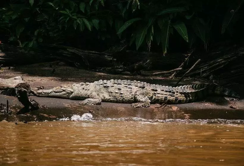 Fotos del hotel Mawamba Lodge:  17