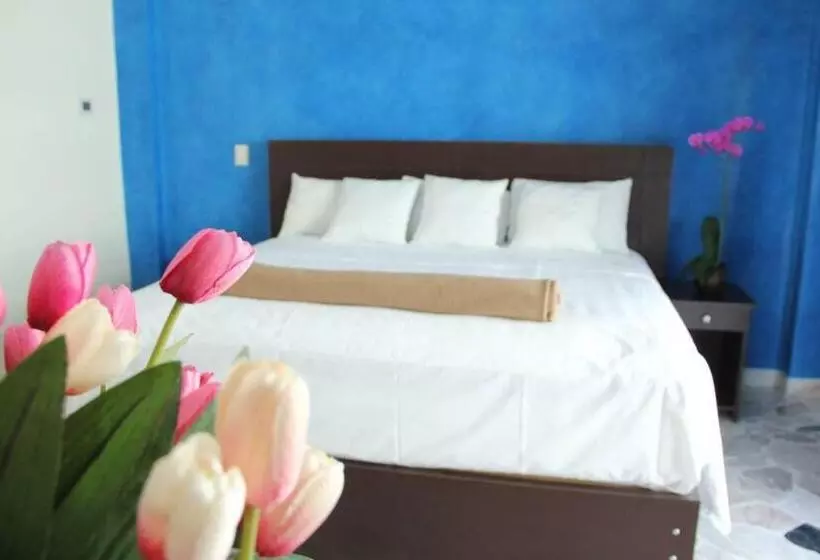 Fotos del hotel María Eugenia:  25