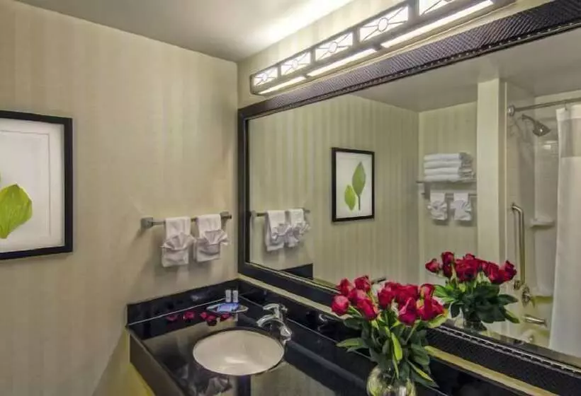 Fotos del hotel Fairfield Inn & Suites-washington Dc:  6