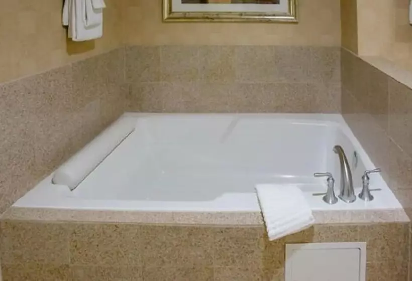 Fotos del hotel Platinum Hotel And Spa:  24