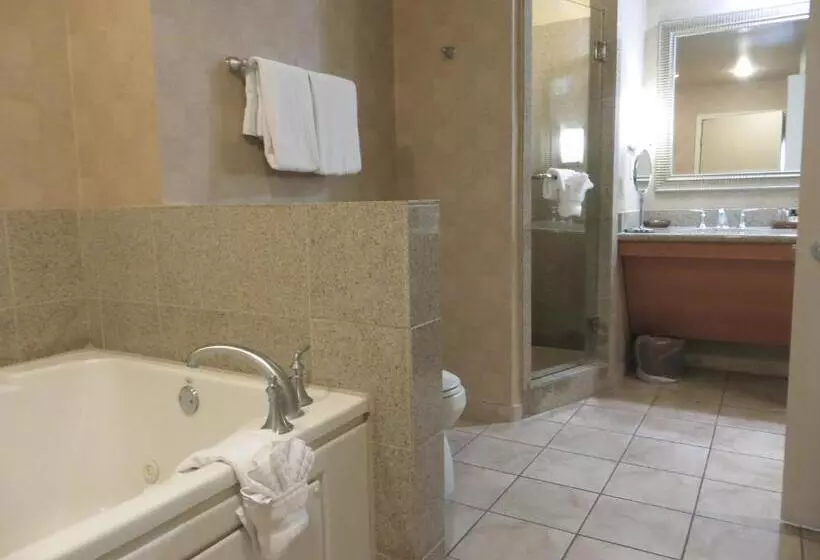 Fotos del hotel Platinum Hotel And Spa:  21