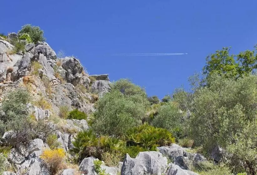Fotos del hotel Rural Molino Del Puente Ronda:  7