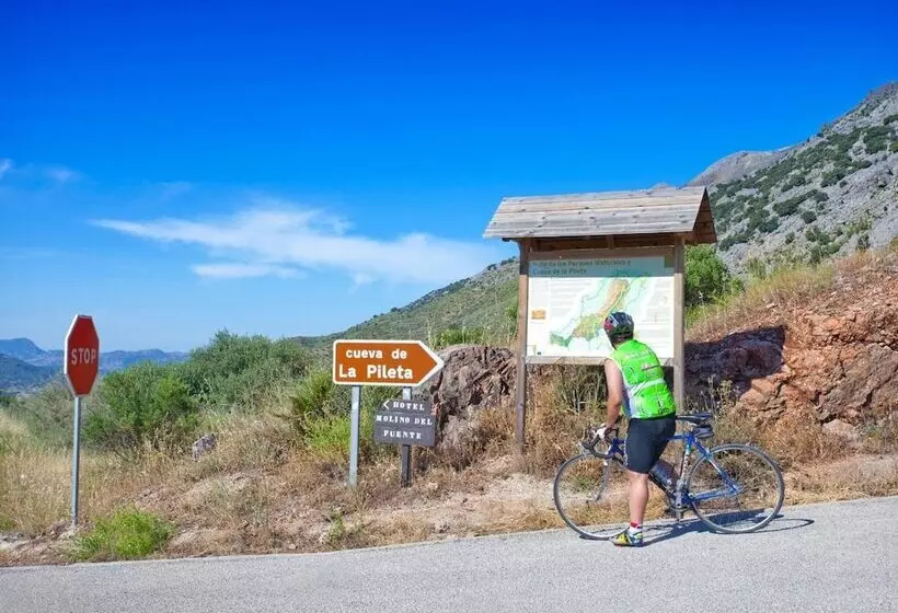 Fotos del hotel Rural Molino Del Puente Ronda:  8