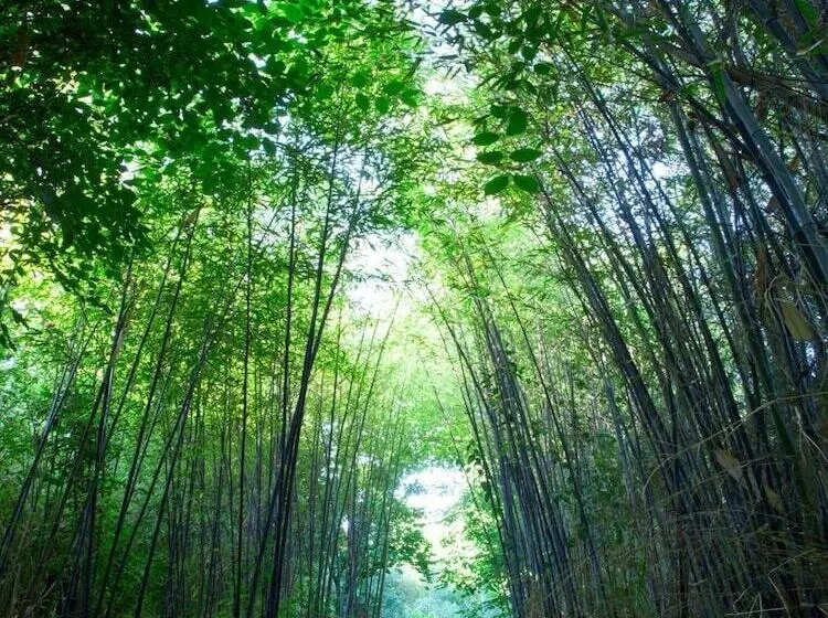 Fotos del hotel Rural Molino Del Puente Ronda:  12