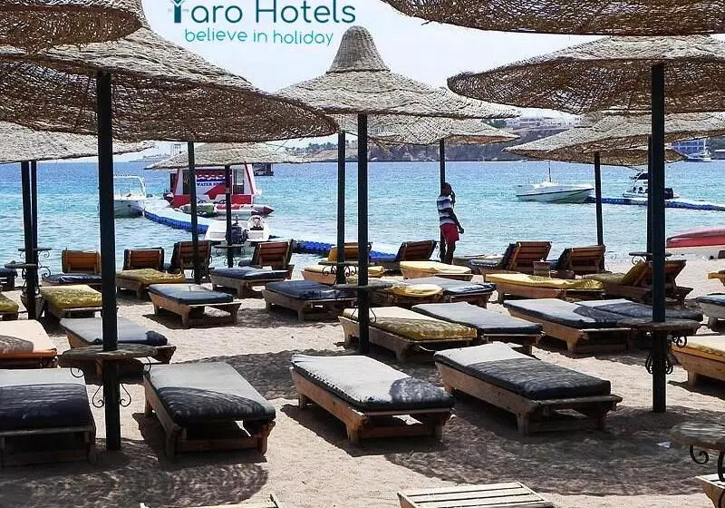 Fotos del hotel Fantazia:  24