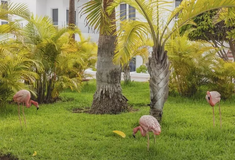 Fotos del hotel Flamingo Beach Mate:  21